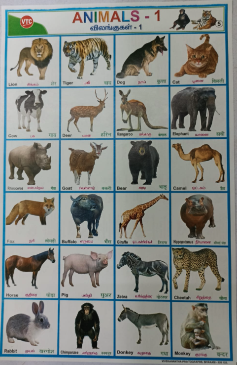 PROJECT CHART ANIMALS (STICKER TYPE)