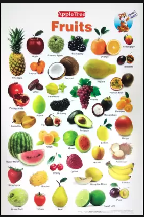 APPLE TREE CHART FRUITS