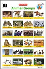 APPLE TREE CHART ANIMAL GROUP