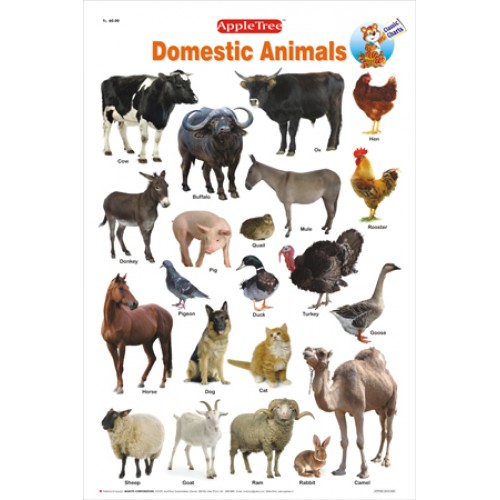 APPLE TREE CHART DOMESTIC ANIMALS