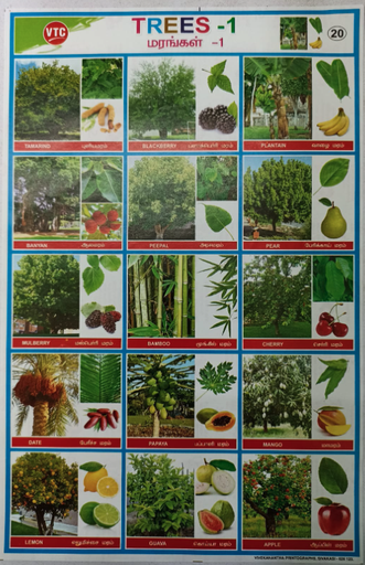 PROJECT CHART TREES (STICKER TYPE)