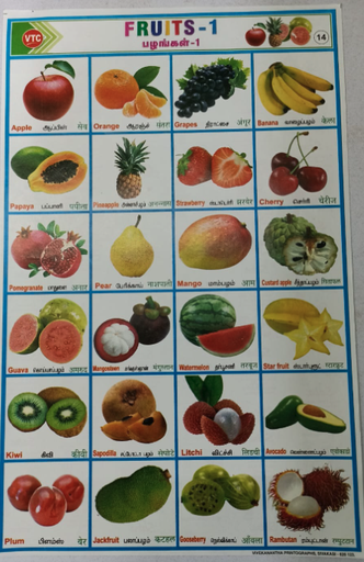 PROJECT CHART FRUITS (STICKER TYPE)