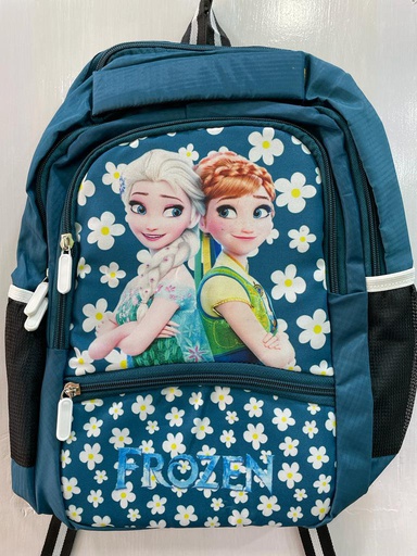 FROZEN BAG