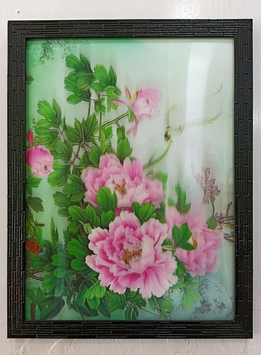 3D FRAME 350MRP