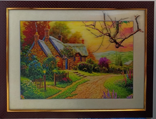 HD FRAME 300MRP